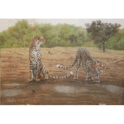 419 - COLIN ASHBY, A PAIR OF 20TH CENTURY BRITISH SCHOOL GOUACHE AND PASTEL STUDIES
Central African Safari... 