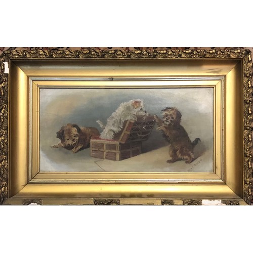 462 - ZELLA C. STANFORD, A LATE 19TH CENTURY OIL ON CANVAS
Three playful terriers, signed, gilt framed.
(6... 