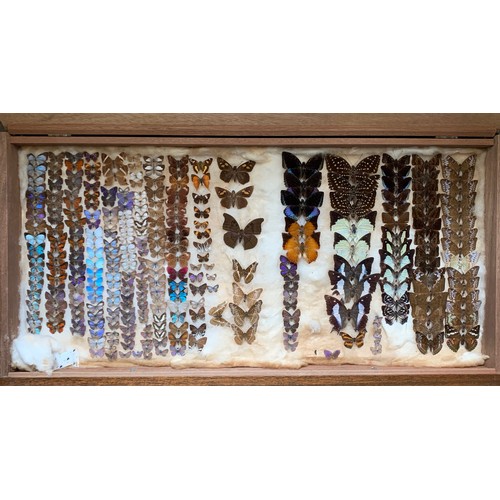 118 - A MID 20TH CENTURY ENTOMOLOGY CHEST, COMPRISING OF A PARTIAL MALAYAN COLLECTION OF BUTTERFLIES.
Hard... 