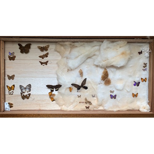 118 - A MID 20TH CENTURY ENTOMOLOGY CHEST, COMPRISING OF A PARTIAL MALAYAN COLLECTION OF BUTTERFLIES.
Hard... 