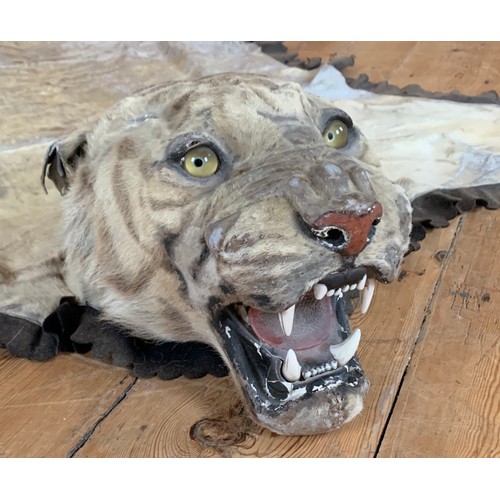 35 - VAN INGEN MYSORE, AN EARLY 20TH CENTURY TAXIDERMY TIGER SKIN RUG.
Bearing factory serial no. 21534. ... 