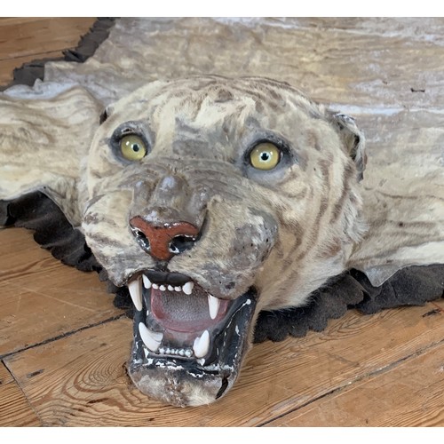 35 - VAN INGEN MYSORE, AN EARLY 20TH CENTURY TAXIDERMY TIGER SKIN RUG.
Bearing factory serial no. 21534. ... 