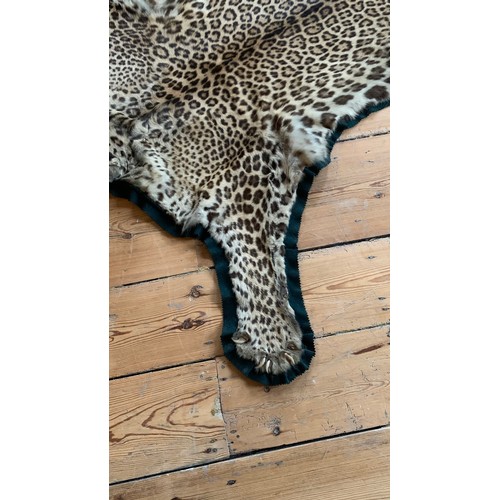 1 - AN EARLY 20TH CENTURY TAXIDERMY INDIAN LEOPARD SKIN RUG.
With original rings for wall hanging.
(l 25... 