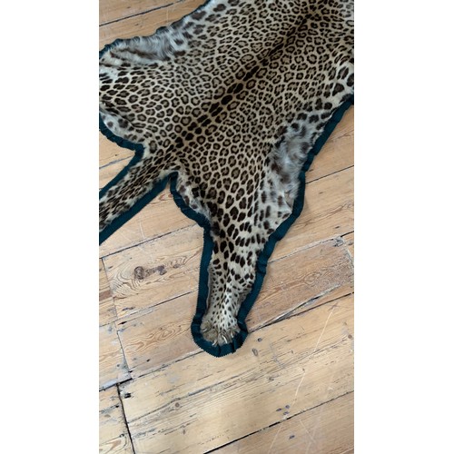 1 - AN EARLY 20TH CENTURY TAXIDERMY INDIAN LEOPARD SKIN RUG.
With original rings for wall hanging.
(l 25... 