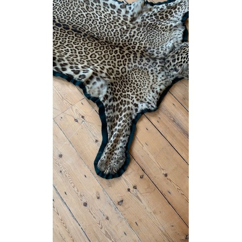 1 - AN EARLY 20TH CENTURY TAXIDERMY INDIAN LEOPARD SKIN RUG.
With original rings for wall hanging.
(l 25... 