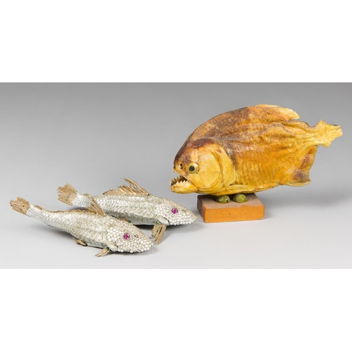 797 - AN UNUSUAL GROUP OF TAXIDERMY FISH, INCLUDING A PIRANHA AND TWO BEJEWELED SPECIMENS.
The Piranha (l ... 