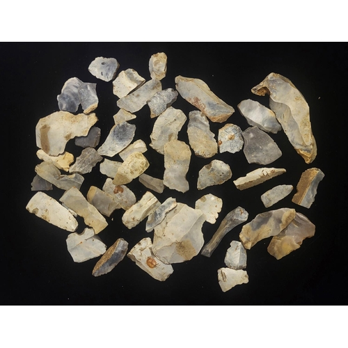 210 - A COLLECTION OF FORTY EIGHT MESOLITHIC PERIOD, 10,000 - 3500BC, FLINT DEBITAGE PIECES
Registered wit... 