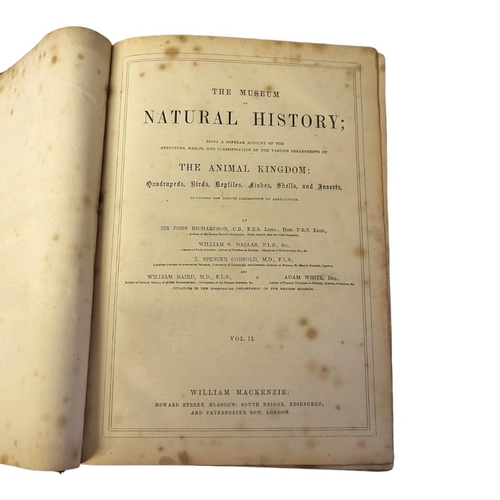 244 - AN EARLY VICTORIAN BOOK OF THE MUSEUM OF NATURAL HISTORY VOL II, THE ANIMAL KINGDOM BIRDS, REPTILES,... 