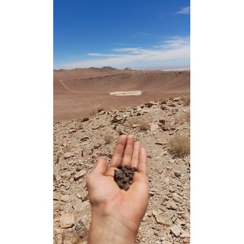 889 - IMPACTITE FROM THE MONTURAQUI CRATER, ATACAMA DESERT, CHILE.
This impactite is a molten fusion of th... 