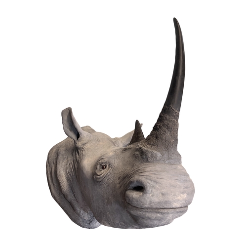 500 - ROWLAND WARD OF PICCADILLY, LONDON, A VICTORIAN TAXIDERMY WHITE RHINOCEROS HEAD (CERATOTHERIUM SIMUM... 