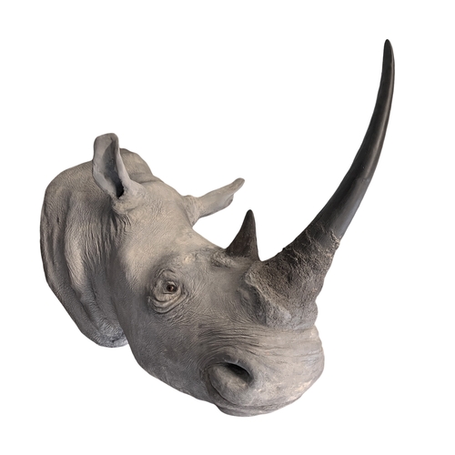 500 - ROWLAND WARD OF PICCADILLY, LONDON, A VICTORIAN TAXIDERMY WHITE RHINOCEROS HEAD (CERATOTHERIUM SIMUM... 