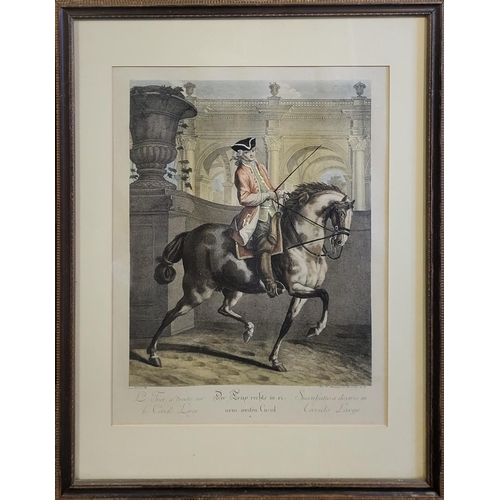 474 - AFTER J.E. RIDINGER, A SET OF THREE EQUESTRIAN INTEREST COLOURED ENGRAVINGS
All depicting noblemen o... 