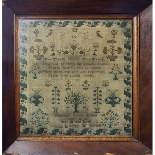 499 - A WILLIAM IV PERIOD NEEDLEWORK SAMPLER, Elizabeth Godley ended sampler in the year of our Lord 1835 ... 