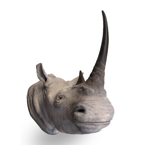 499 - ROWLAND WARD OF PICCADILLY, LONDON, VICTORIAN TAXIDERMY WHITE RHINOCEROS HEAD (CERATOTHERIUM SIMUM).... 