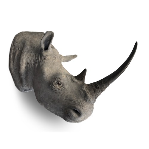 499 - ROWLAND WARD OF PICCADILLY, LONDON, VICTORIAN TAXIDERMY WHITE RHINOCEROS HEAD (CERATOTHERIUM SIMUM).... 