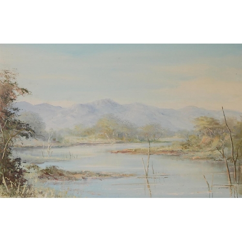 460 - BETTY MICKLEM, A 20TH CENTURY OIL IN BOARD 
Landscape, river view with mountains, signed lower left,... 