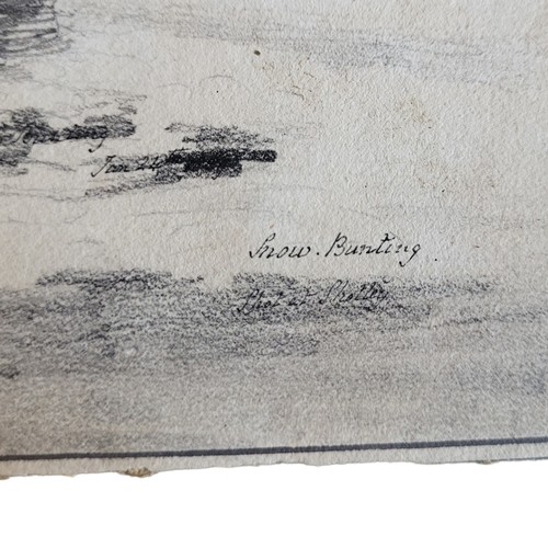 473 - AN EARLY 19TH CENTURY WATERCOLOUR AND PENCIL 'SNOW BUNTING' BIRD STUDY
Winter landscape, with a sing... 