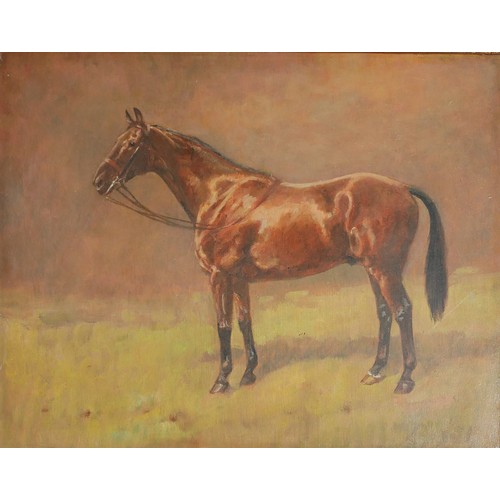 479 - A LATE 19TH/EARLY 20TH CENTURY OIL ON BOARD, EQUESTRIAN STUDY OF A CHESTNUT HORSE 
In a gilt cushion... 