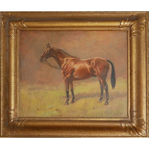 479 - A LATE 19TH/EARLY 20TH CENTURY OIL ON BOARD, EQUESTRIAN STUDY OF A CHESTNUT HORSE 
In a gilt cushion... 