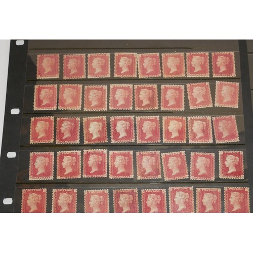 198 - QUEEN VICTORIA PENNY RED PLATES, TWO LARGE CARDS, 1858, MINT 180 STAMPS.