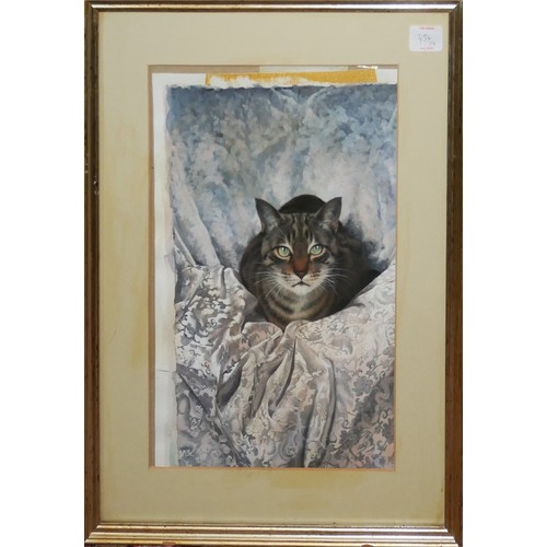 434 - A COLLECTION OF VINTAGE 'CAT'' WATERCOLOURS
To include a watercolour by G.E. Daniel, a pen and ink s... 