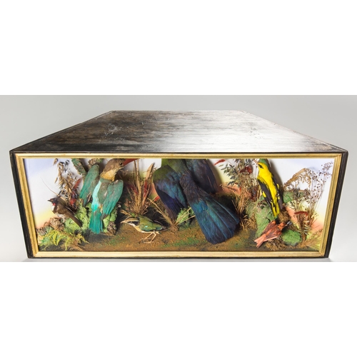 70 - AN IMPRESSIVE LATE VICTORIAN TAXIDERMY CASE OF TROPICAL BIRDS.
Colourful group of seven tropical Asi... 