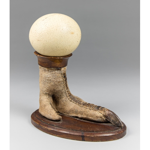 79 - A MID 20TH CENTURY TAXIDERMY OSTRICH FOOT AND AN OSTRICH EGG.
With egg (h 30cm).

Provenance: Privat... 