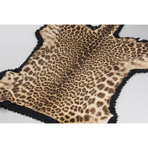 24a - VAN INGEN & VAN INGEN MYSORE, AN EARLY 20TH CENTURY TAXIDERMY FLAT INDIAN LEOPARD SKIN RUG (PANTHERA... 