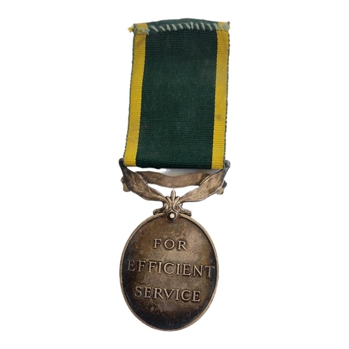 73 - 73
SILVER GEORGE V WORLD WAR II TERRITORIAL EFFICIENCY MEDAL
Ribbon and suspended bar attached, issu... 