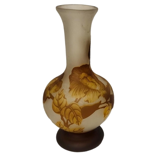 Lot 255       