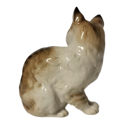 311 - H. ACHTZIGER FOR HUTSCHENREUTHER OF SELB, A HARD PASTE PORCELAIN MODEL OF A YOUNG CAT
Seated positio... 