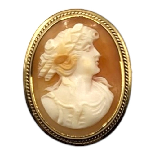 39 - A LATE VICTORIAN 9CT GOLD MOUNTED HARDSTONE CAMEO BROOCH
Carved with a classical bust of a lady, pro... 