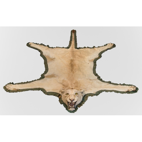 1 - ROWLAND WARD, A LATE 19TH CENTURY TAXIDERMY LIONESS SKIN RUG WITH MOUNTED HEAD (PANTHERA LEO).
(264c... 