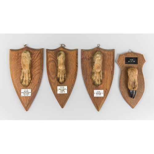105 - A COLLECTION OF LATE 20TH CENTURY TAXIDERMY HARE PADS AND ONE DEER SLOT UPON OAK PLAQUES.