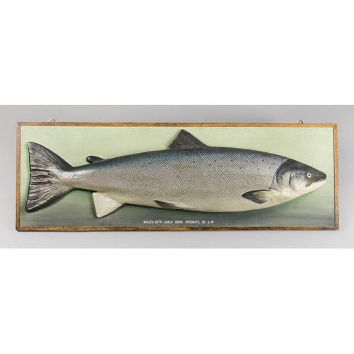 108 - AN EARLY 20TH CENTURY HAND PAINTED PLASTER CAST MODEL OF A SALMON UPON AN OAK BOARD.Inscribed “BALG... 