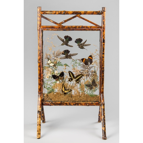 2 - A LATE 19TH CENTURY BAMBOO FRAMED TAXIDERMY FIRE SCREEN DIORAMA. 
Comprising of hummingbirds and tro... 