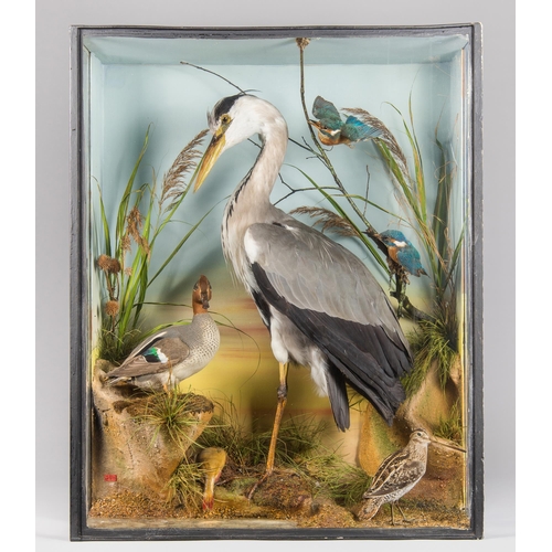 72 - AN IMPRESSIVE LATE 19TH CENTURY TAXIDERMY HERON DIORAMA WITH A NATURALISTIC SETTING.
Comprising of a... 