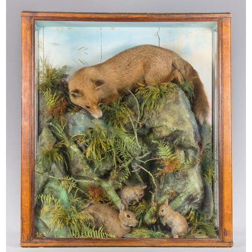 87 - JEFFERIES OF CARMARTHEN, A LATE 19TH/EARLY 20TH CENTURY TAXIDERMY FOX ‘AMBUSH’ DIORAMA (VULPES VULPE... 