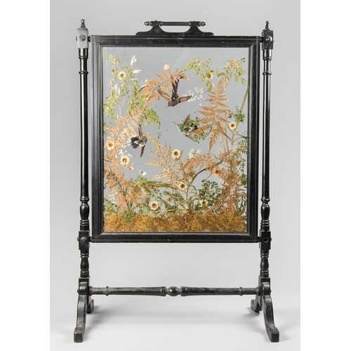 88 - A LATE 19TH CENTURY EBONISED FRAMED TAXIDERMY FIRE SCREEN DIORAMA OF HUMMINGBIRDS (TROCHILIDAE). AF... 