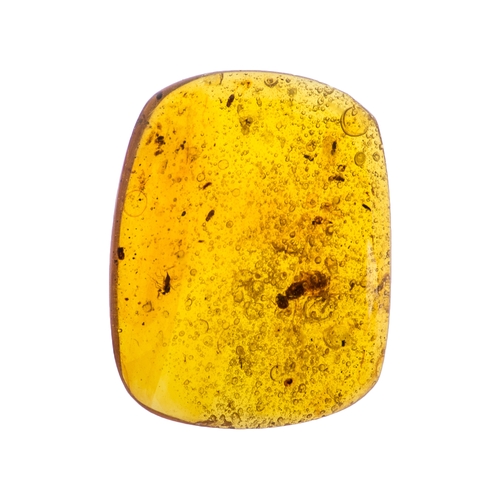 504 - A RARE LONG SNOUT FLY WITH ANIMAL HAIR AND AMOSQUITOES IN CRETACEOUS BURMESE AMBER. Inclusions inclu... 