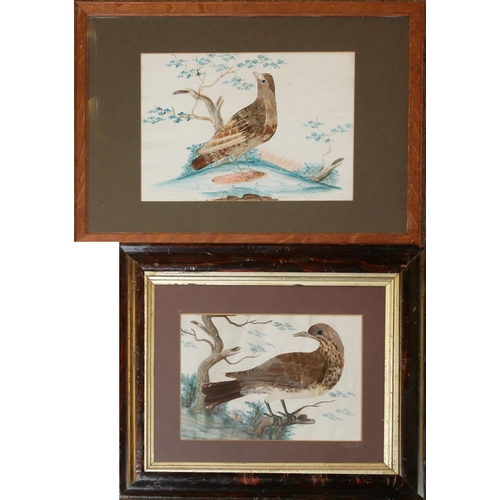 522 - A NEAR PAIR OF 19TH CENTURY WATERCOLOUR AND FEATHER BIRD STUDIES
Two wild birds within a landscape, ... 