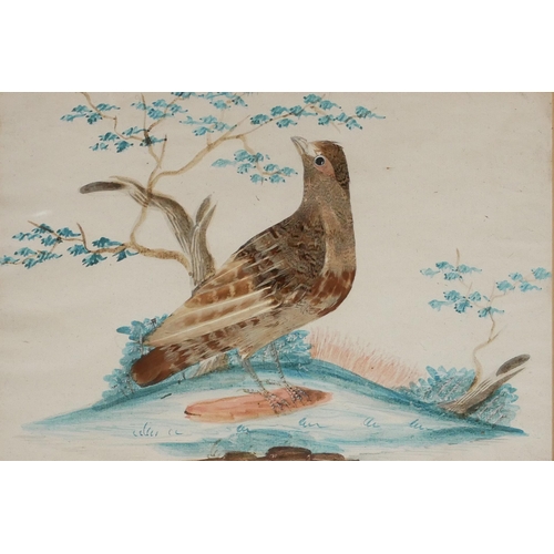 522 - A NEAR PAIR OF 19TH CENTURY WATERCOLOUR AND FEATHER BIRD STUDIES
Two wild birds within a landscape, ... 