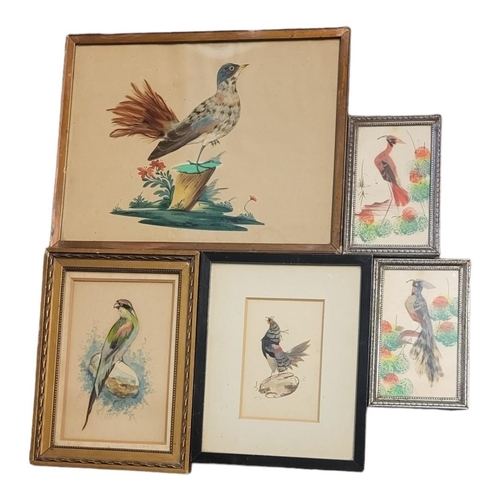 523 - A COLLECTION OF FIVE 19TH CENTURY AND LATER WATERCOLOUR AND FEATHER BIRD STUDIES
To include an exoti... 