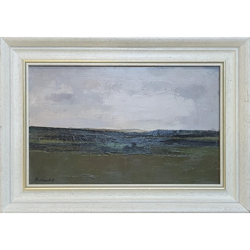 42 - HARRY BAINES, BRITISH, 1910 - 1995, OIL ON CANVAS
Landscape, view of Ribblesdale Yorkshire, signed, ... 