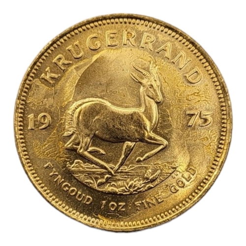 11A - A 22CT GOLD FULL 1OZ KRUGERRAND COIN, DATED 1975 
With portrait bust and springbok design to reverse... 