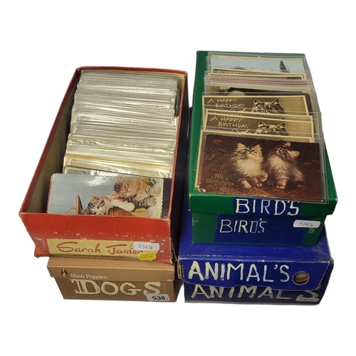 538 - FOUR BOXES OF APPROX 600 EARLY/MID 20TH CENTURY POSTCARDS OF ANIMALS
Housed in individual transparen... 