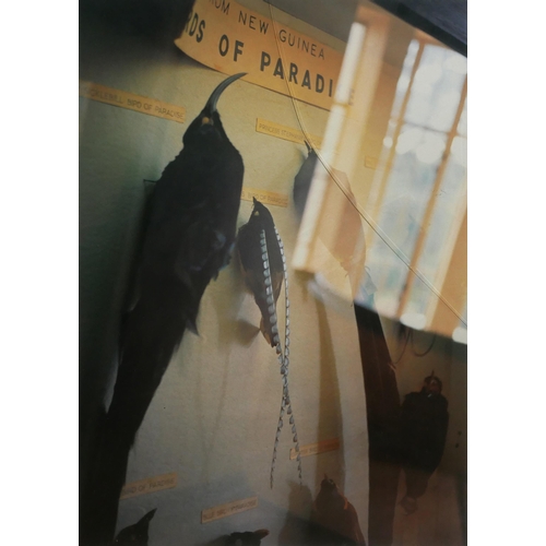 HUGER FOOTE, LIMITED EDITION (3/10) PIGMENT TRANSFER PRINT Signed ...