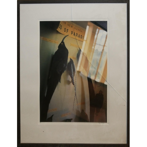 HUGER FOOTE, LIMITED EDITION (3/10) PIGMENT TRANSFER PRINT Signed ...