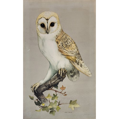 643 - EDWIN T. CHICKEN, BRITISH, B. 1940, WATERCOLOUR ON BOARD 
Owl, along with another by John Selby, sig... 