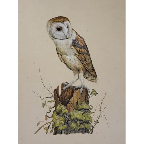 643 - EDWIN T. CHICKEN, BRITISH, B. 1940, WATERCOLOUR ON BOARD 
Owl, along with another by John Selby, sig... 